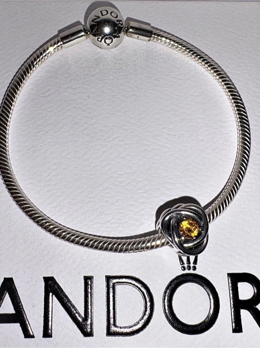 Pandora Bracelet and Charm